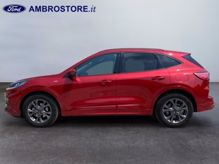 FORD Kuga 2.5 full hybrid st-line 2wd 190cv cvt