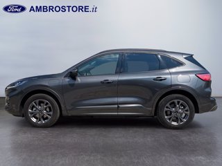 FORD Kuga 2.5 phev st-line 2wd 225cv cvt