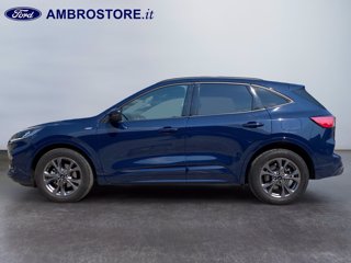 FORD Kuga 2.5 full hybrid st-line 2wd 190cv cvt