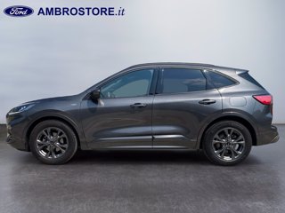 FORD Kuga 1.5 ecoblue st-line 2wd 120cv auto