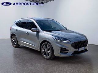 FORD Kuga 1.5 ecoblue st-line 2wd 120cv auto