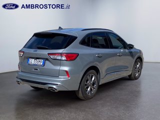 FORD Kuga 1.5 ecoblue st-line 2wd 120cv auto