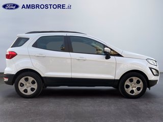 FORD Ecosport 1.0 ecoboost plus 100cv my20.25