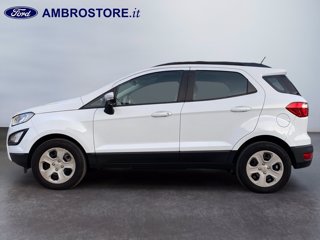 FORD Ecosport 1.0 ecoboost plus 100cv my20.25