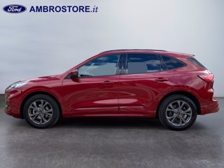 FORD Kuga 2.5 full hybrid st-line 2wd 190cv cvt