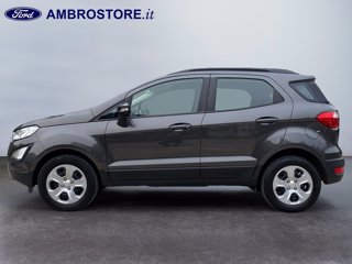 FORD Ecosport 1.0 ecoboost plus 100cv my19