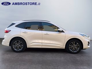 FORD Kuga 1.5 ecoboost st-line x 2wd 150cv