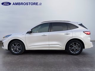 FORD Kuga 1.5 ecoboost st-line x 2wd 150cv