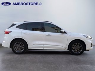 FORD Kuga 2.5 full hybrid st-line x 2wd 190cv cvt