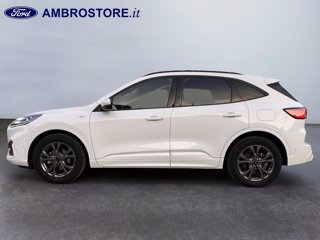 FORD Kuga 2.5 full hybrid st-line x 2wd 190cv cvt