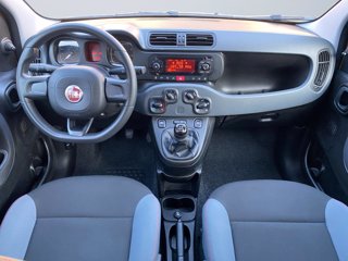 FIAT Panda 1.2 easy s&s 69cv my19