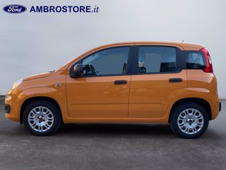 FIAT Panda 1.2 easy s&s 69cv my19