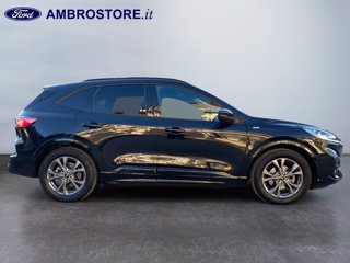 FORD Kuga 2.5 full hybrid st-line x 2wd 190cv cvt