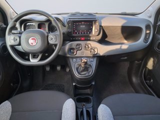 FIAT Panda 1.0 firefly hybrid s&s 70cv 5p.ti