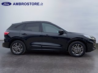 FORD Kuga 2.5 phev st-line 2wd 225cv cvt