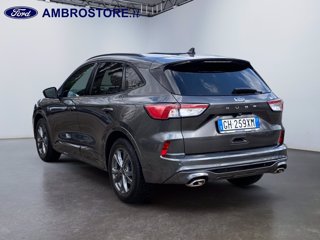 FORD Kuga 1.5 ecoblue st-line 2wd 120cv auto