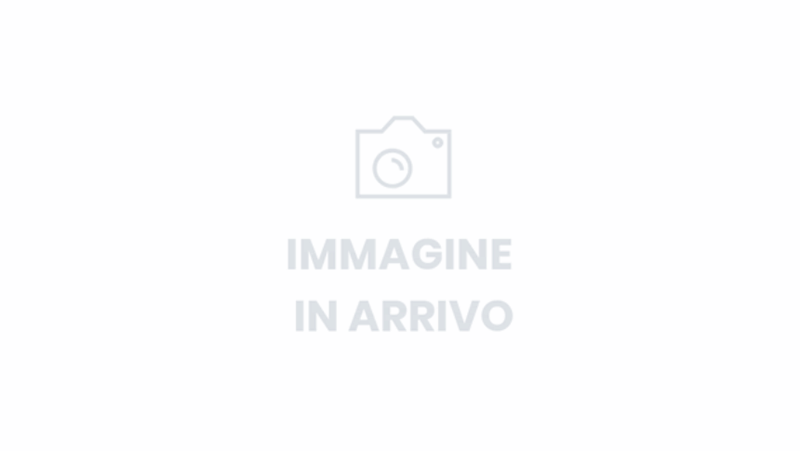 Foto Sede Ambrostore Ford Milano Forlanini